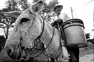 migrantes-veracruz-21-jpg