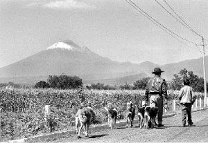 vc-tlaxcala-popocatepetl-jpg