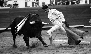 garibay.toros