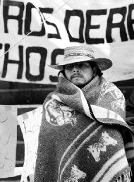 planton-aldf-frio
