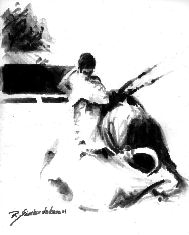 carton-toros