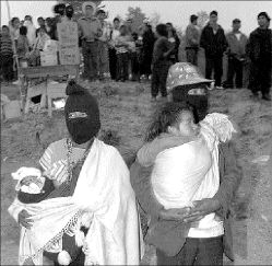 ezln-oventic6