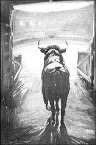toros/Marc Guyot
