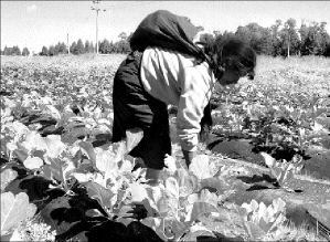 trabajador_agro