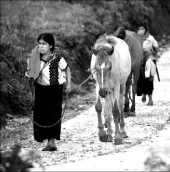 mujer_chiapas