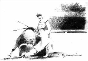 dibujo toros-Israel Tellez