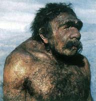 neandertal