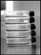 india_stem_cells_lmpa