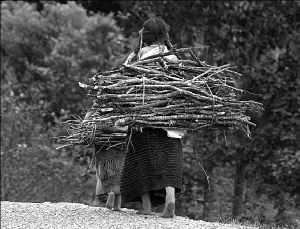 chiapas_indigenas