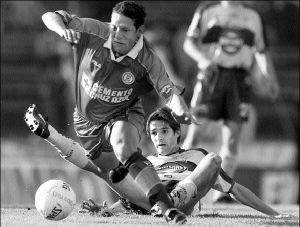 tigres