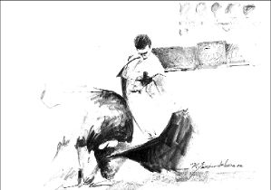 dibujo toros