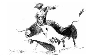 dibujo toros