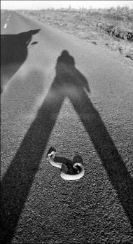 serpiente_01