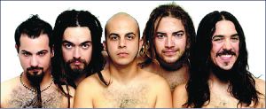 10 genitallica-ok