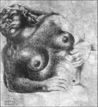 DESNUDO