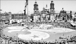 flor_lis_zocalo1