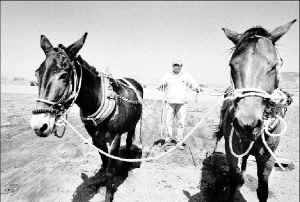 toluca_campesino_aj2