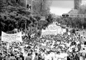 trabajadores imss