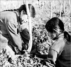 migrantes-oaxaca-jpg