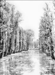 xochimilco-canal