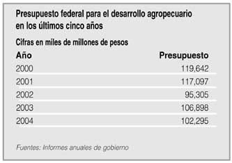 tradicional P7