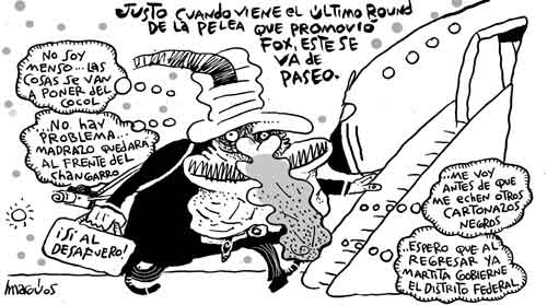 Cartón