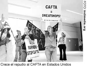 no cafta P7