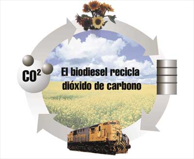 Biodiesel