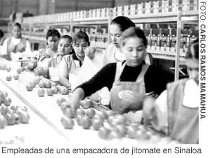 mujeres-trabajo-sinaloa