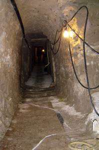 <I>Narcotunel</I> Fronterizo