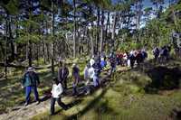 Integrantes de la Comisión Costera de California hicieron un recorrido por Pebble Beach y Del Monte Forest el día 8 de junio antes de tomar una decisión sobre el proyecto para construir un campo de golf en Monterey