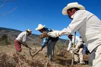 Ejidatarios en terrenos comunales de Santa Ana Tlacotenco, en la delegación Milpa Alta