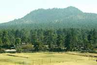 El objetivo del programa Cinturón Verde es reforestar los principales bosques y suelos de conservación de la ciudad de México. En la imagen, el parque ejidal San Nicolás Totolapan, ubicado en la delegación Magdalena Contreras