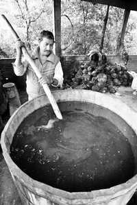 Leoncio Hernández Rendón mezcla en grandes tinas agua con bagazo martajado pata iniciar el proceso de fermentado en la Fábrica Destiladora de Mezcal de Santa Cruz, municipio de Chilapan, Guerrero.