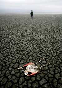 Panorama del que fuera el lago Koronia, ubicado a 550 kilómetros al norte de Atenas, Grecia, donde el pasado 20 de septiembre se registró una lluvia torrencial. Los expertos de ese país atribuyen al calentamiento global la desaparición de este cuerpo de agua