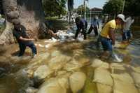 Habitantes de Villahermosa retiran costales de arena que sirvieron de "diques" ante el desbordamiento del río Grijalva