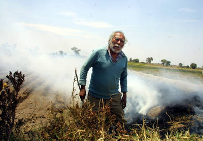 TLC agropecuario, tumba económica para campesinos