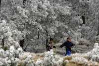 La disminución de la temperatura en el valle de México provocó la caída de aguanieve en las partes altas de la ciudad. En la imagen, aspecto de la zona del Ajusco, donde personas acudieron para admirar el paisaje, antes de que se decretara el cierre de los accesos