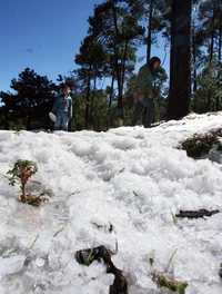 El aguanieve que cayó durante el miércoles y la madrugada de ayer tapizó de blanco las faldas del Ajusco, lo que aprovecharon algunas personas para disfrutar de este fenómeno natural