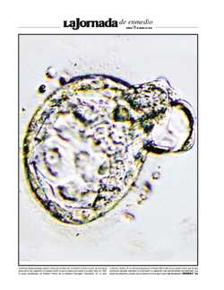 La Jornada de enmedio