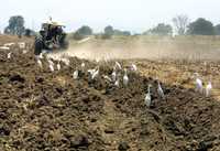 Las agrupaciones campesinas anunciaron que se reunirán este lunes para acordar nuevas formas de manifestar su descontento, por lo que algunos de los trabajadores del agro deberán abandonar sus tareas por algunas horas