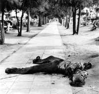 "Hombre mitad calavera, mitad hombre", fotografiado por Iturbide en un cementerio de Dolores Hidalgo, Guanajuato