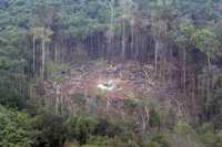 Vista aérea del campamento de las FARC en Angostura, Ecuador, en la zona fronteriza con Colombia, que fue arrasado por el ejército colombiano el pasado primero de marzo, donde murieron 23 personas, incluido el líder rebelde Raúl Reyes. La imagen fue tomada el pasado día 10