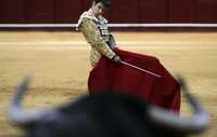 El diestro español José Tomás durante una corrida en España