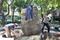 Vecinos de la Condesa denunciaron la tala de una palmera en la glorieta de Ámsterdam e Iztaccíhuatl