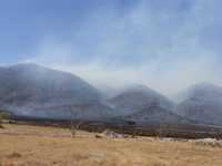 Las elevadas temperaturas y los fuertes vientos dificultan las labores del personal que combate un incendio forestal en la Sierra de Arteaga, cerca del entronque de las carreteras 57 y San Antonio de las Alazanas, en Coahuila