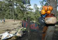 Aspecto del predio Agua Grande, en julio de 2003, que se disputaban las comunidades de Santo Tomás y San Miguel Ajusco, Distrito Federal, y Xalatlaco, estado de México