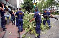 Elementos de protección civil quitan un árbol que fue derribado por los vientos cerca del cruce de Insurgentes y Pasadena