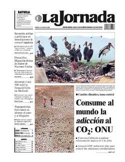 Contraportada