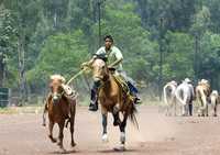 Un joven adiestra a su caballo en el bosque de Nativitas, en Xochimilco